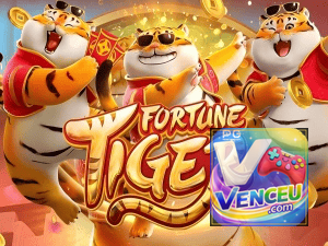 Guia install APK VENCEU BET BR